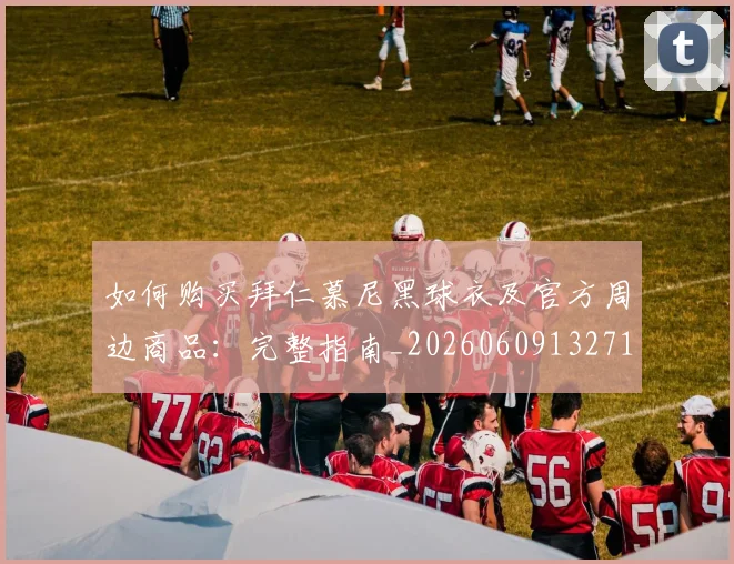 如何购买拜仁慕尼黑球衣及官方周边商品:完整指南_20260609132710